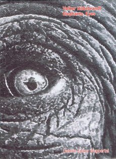 2007-elephants-eyes