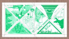214-maggi-amazon-gruen