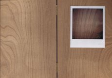 nitsch-james-zwei-holzplatten-aufgeklebtes-polaroid-metallscharniere-1975