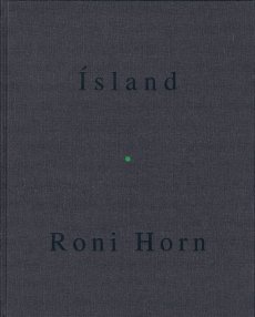 roni-horn-island