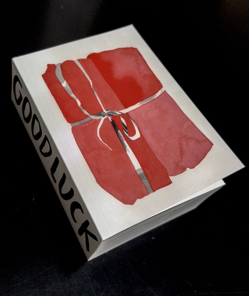 36268-g-nther-good-luck-buch