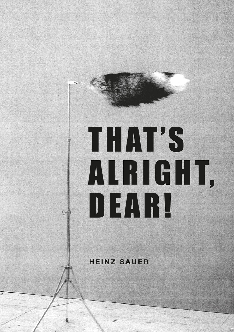 63_heinz_sauer