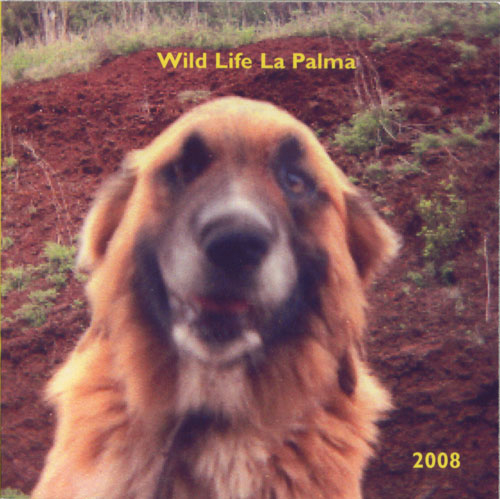 mauler wild life la palma